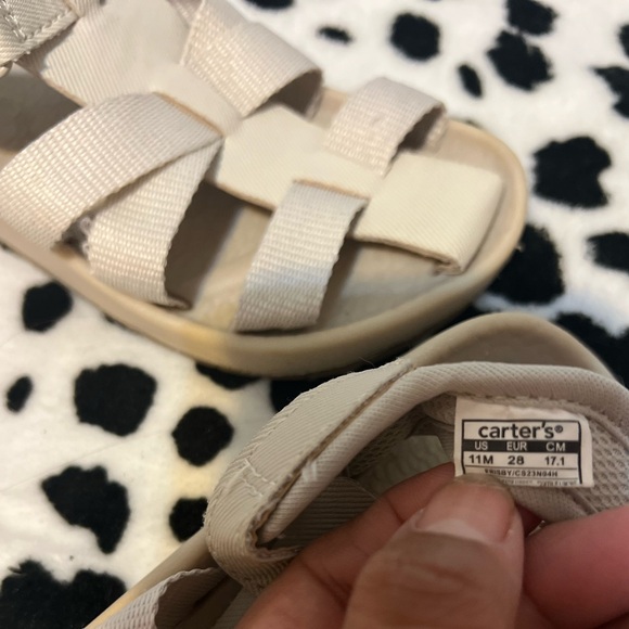 Carter - Picture 2 of 2